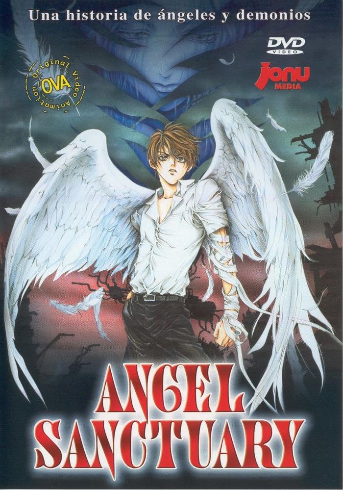 TOP 7 - Animes de Anjos